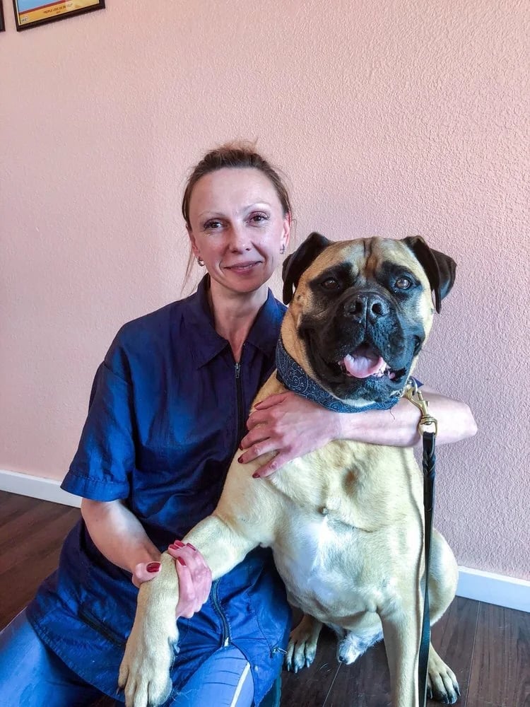 Tanya S., certified dog groomer, posing with a boxer dog wearing a harness indoors