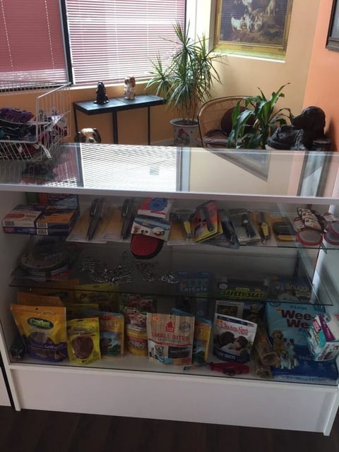 Glass display case filled with various collectibles, merchandise, and media in a retail or office setting with plants and windows in background