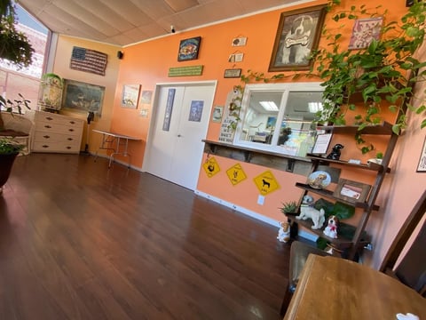 Colorful interior space with orange and pink walls decorated with framed artwork, plants, and various items on shelves and counter